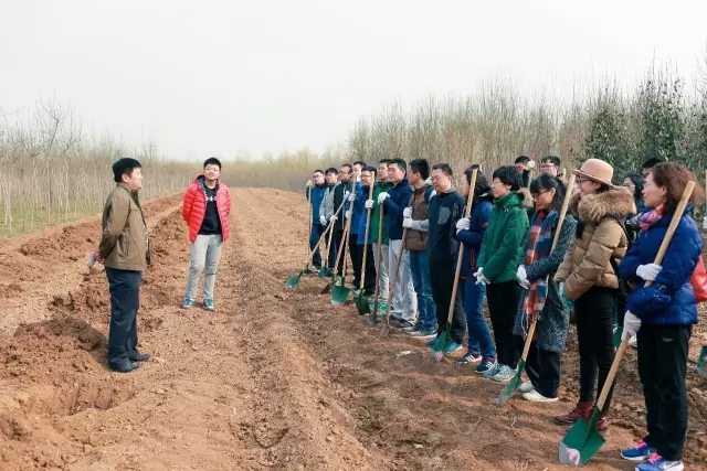 春風(fēng)十里不及一抹綠 | 集團(tuán)開展義務(wù)植樹活動
